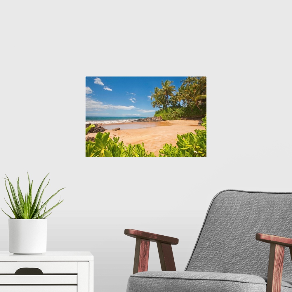 A modern room featuring Secluded Sandy Beach On Maui