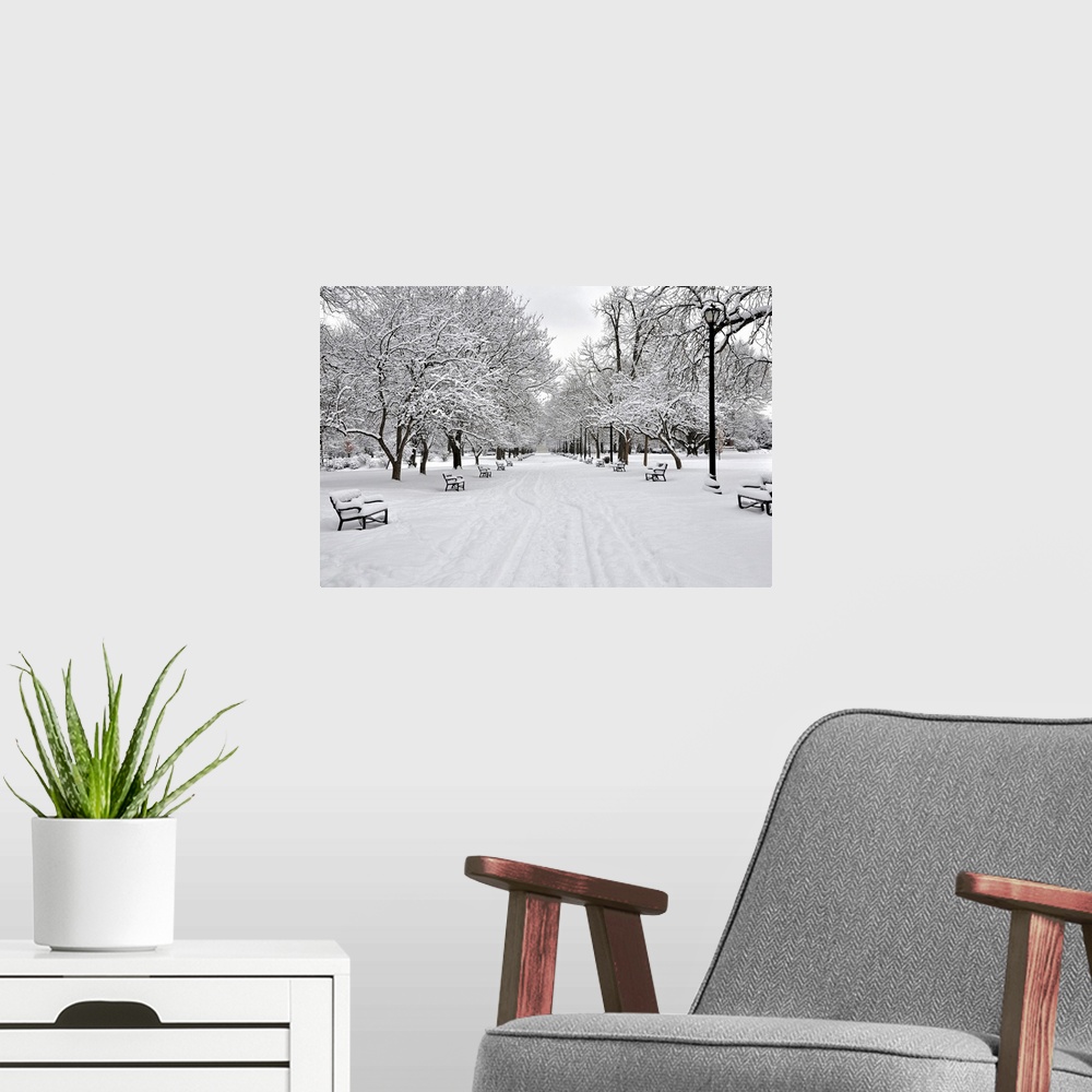A modern room featuring A horizontal black and white photo on canvas of a snowy park with benches and snow covered trees ...