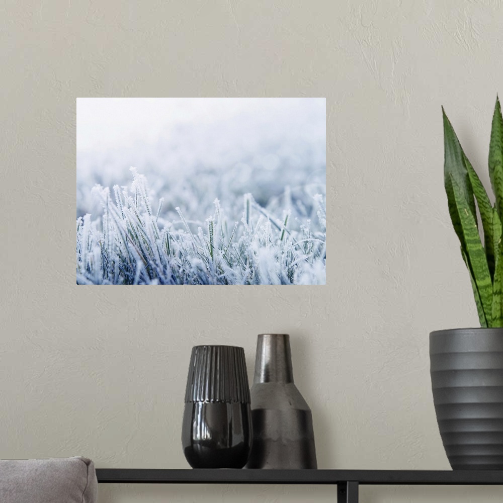 A modern room featuring Morning frost on blue grass.