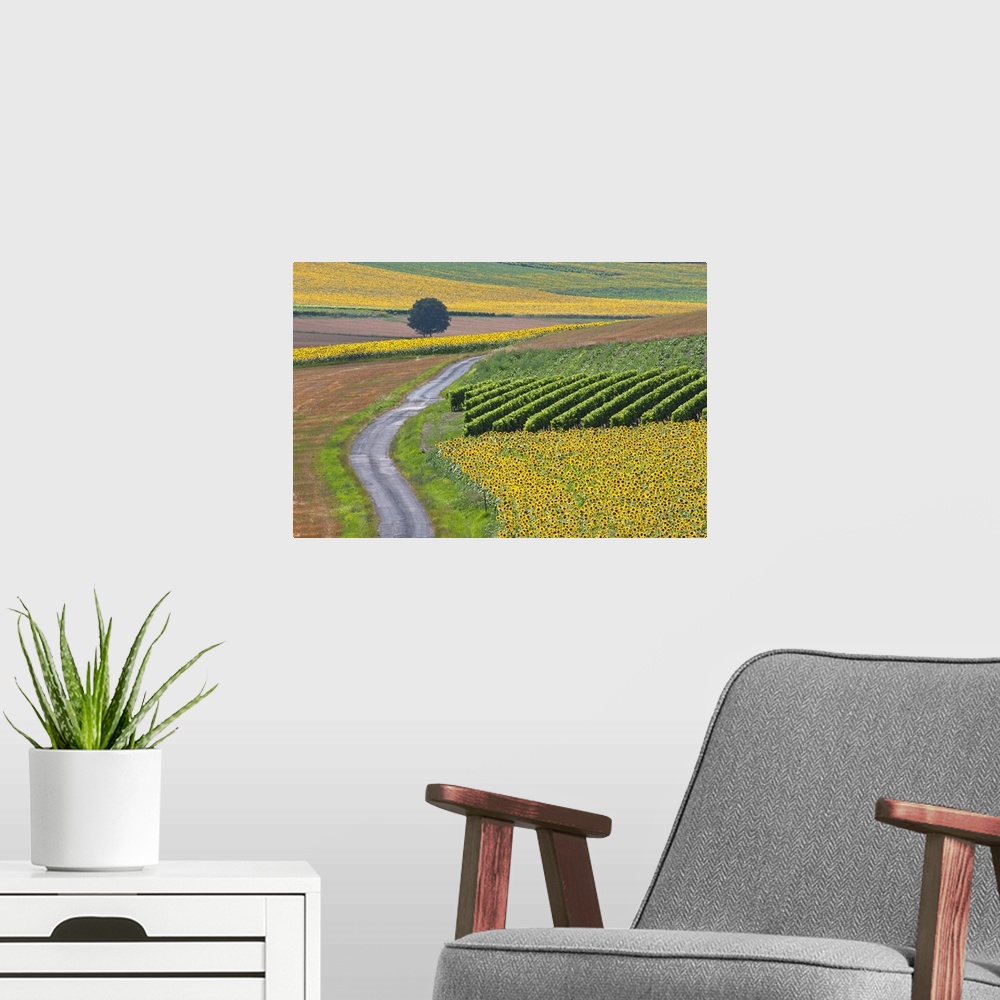 A modern room featuring Sunflower field and road near Pons, France.