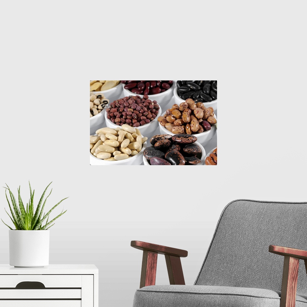 A modern room featuring Various types of beans in bowls