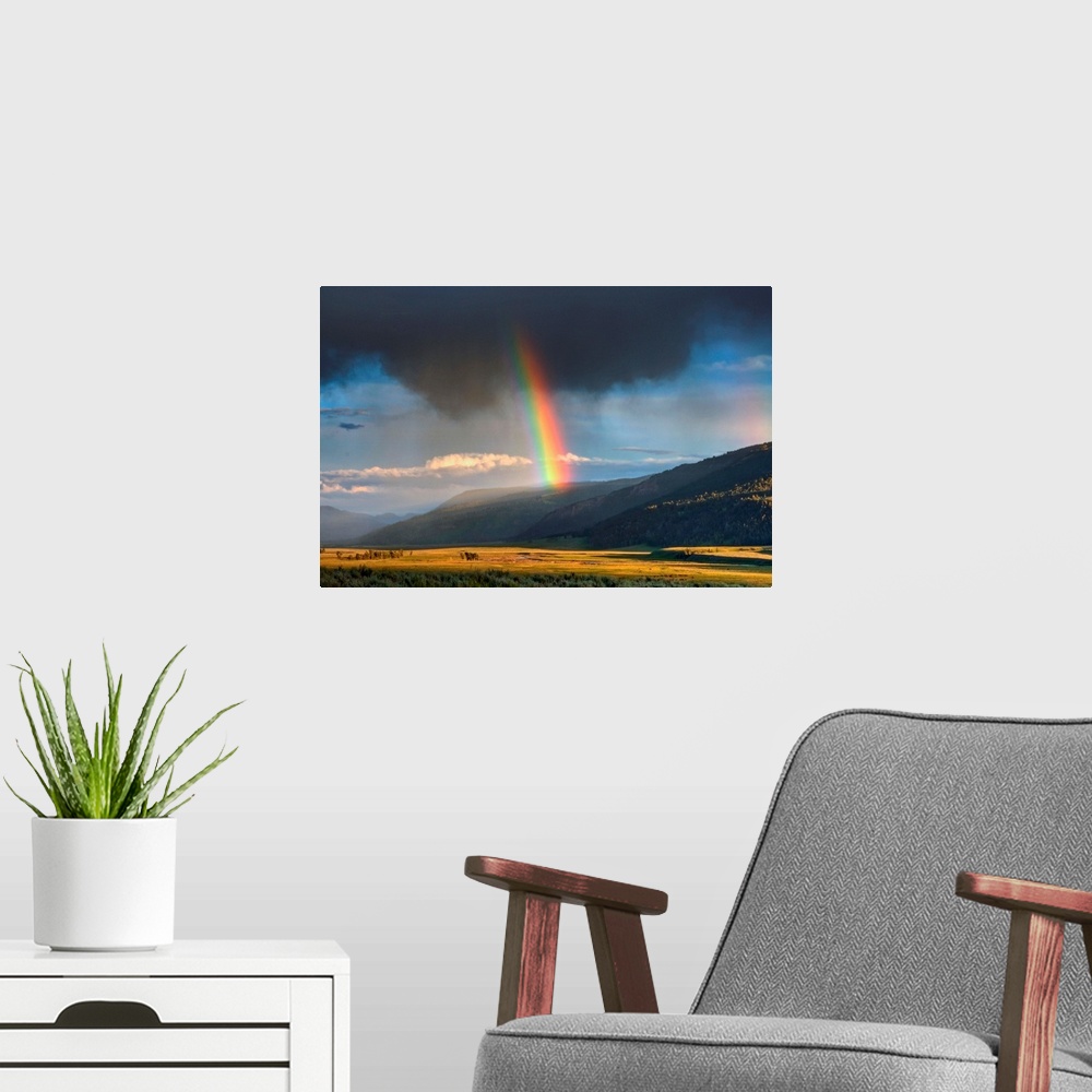 A modern room featuring Very intensive rainbow in part of Lamar Valley in Yellowstone, NP.