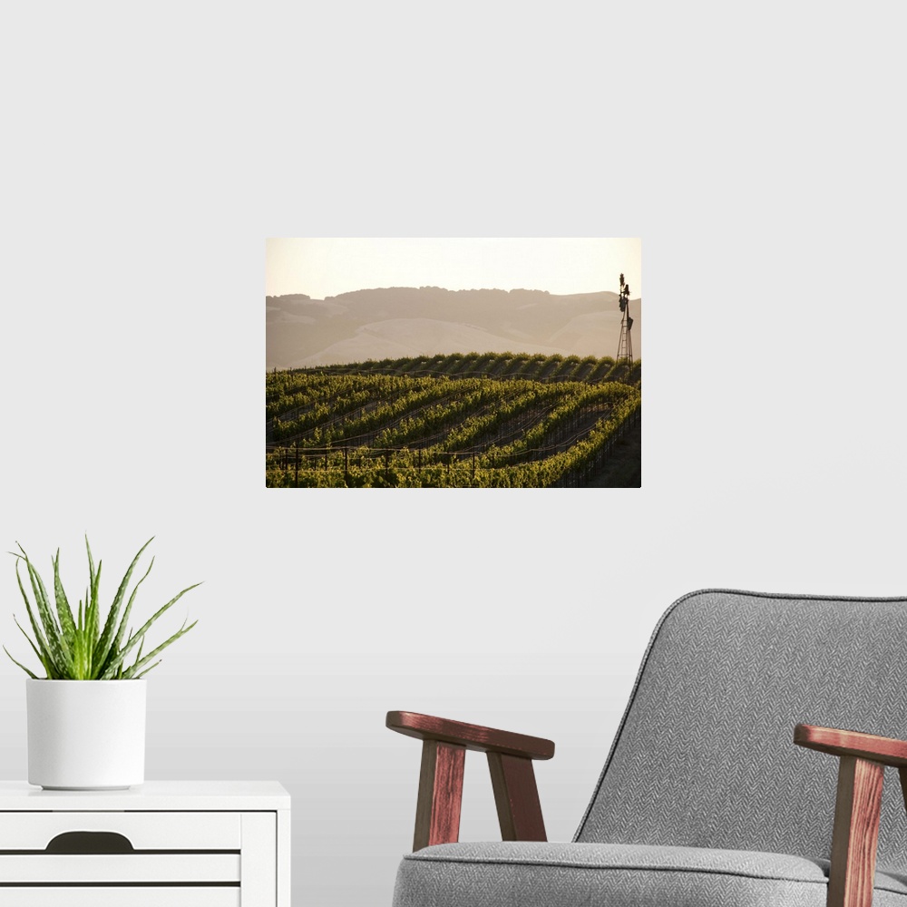 A modern room featuring Vineyards and windmill near Sonoma, CA.