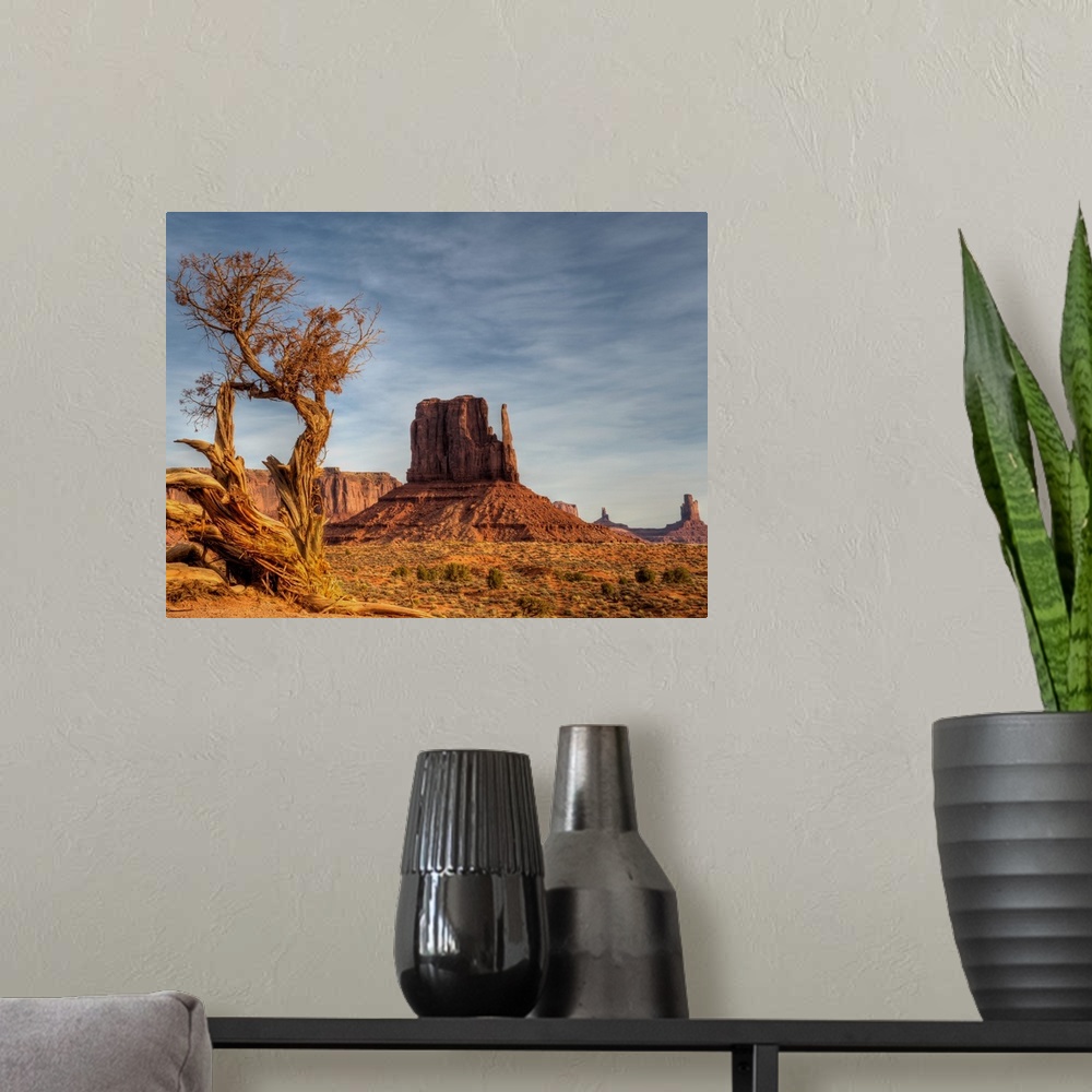 A modern room featuring The West Mitten in Monument Valley in the early morning light. Juniper trees have a very hard lif...