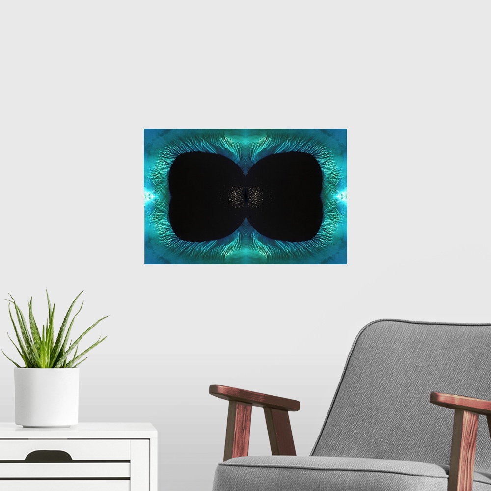 A modern room featuring Black Butterfly