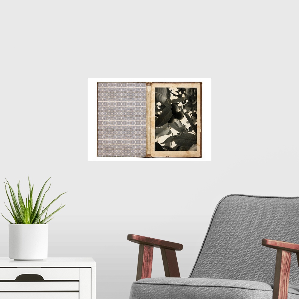 A modern room featuring Field Notes 6