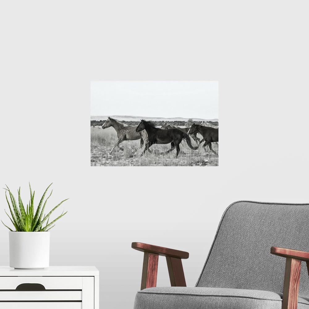 A modern room featuring Horse Fort Ranch 14
