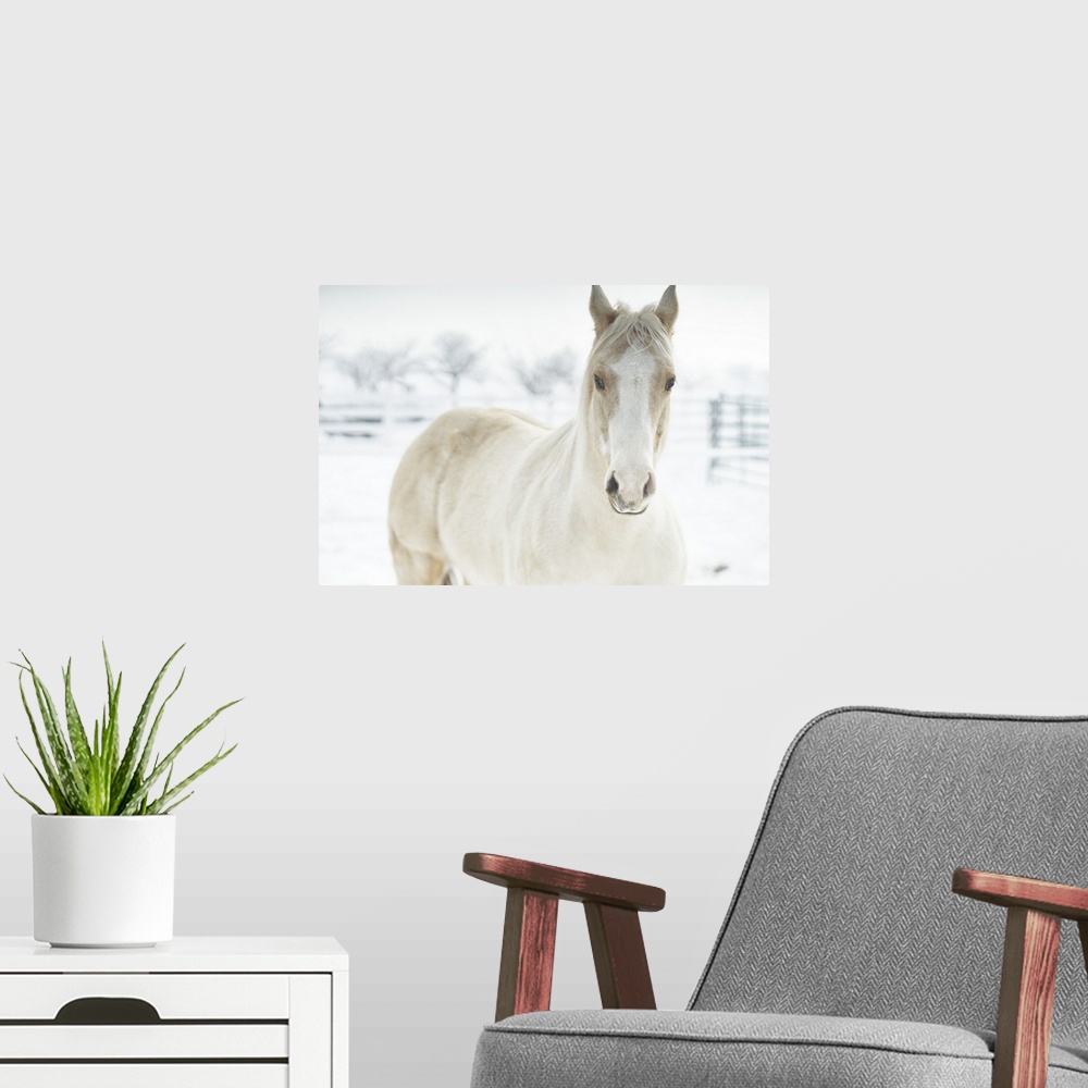 A modern room featuring Horse Mendon White