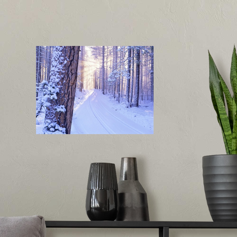 A modern room featuring Road in Deschutes National Forest with snow and sunburst. Oregon.