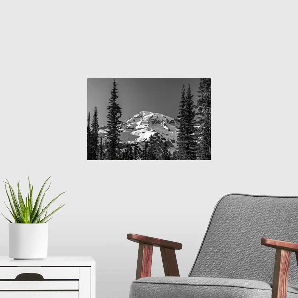 A modern room featuring Through the Forest, Mount Rainier