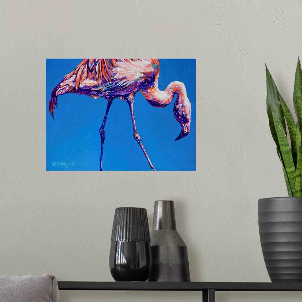 A modern room featuring Flamingo