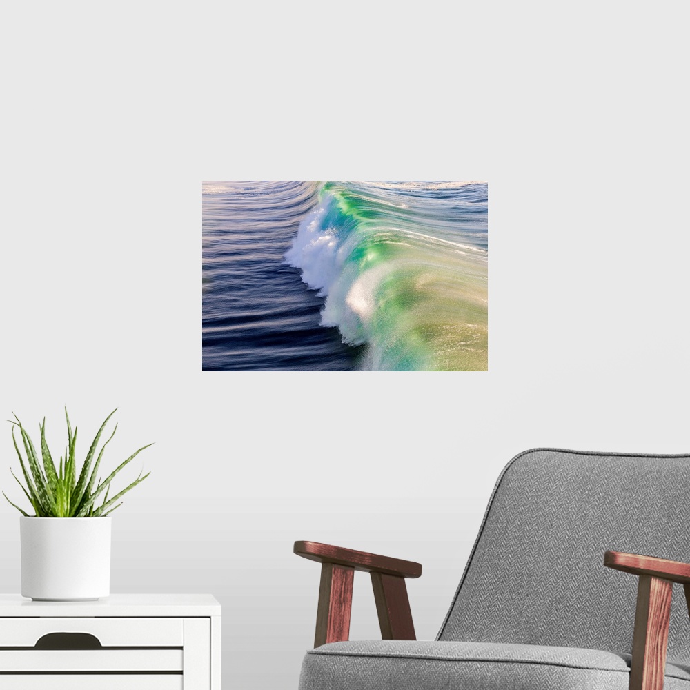 A modern room featuring Wave