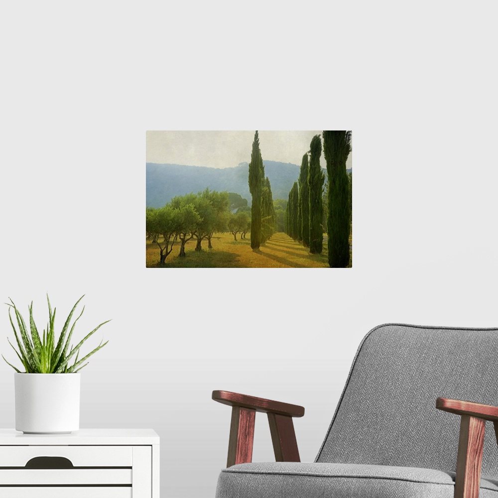 A modern room featuring A photograph of an idyllic countryside scene, with late afternoon light hitting cypress trees and...