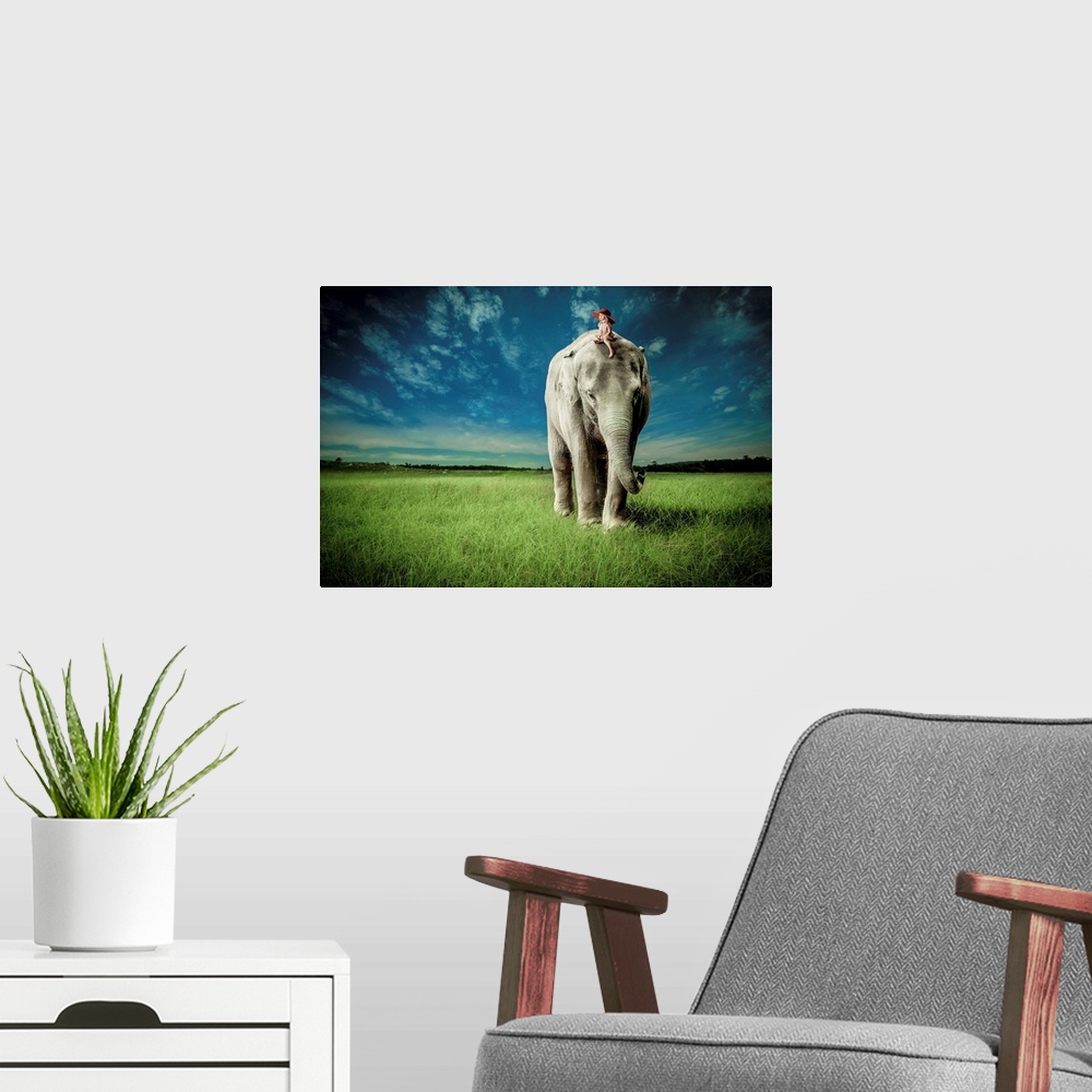 A modern room featuring Elephant Carry Me