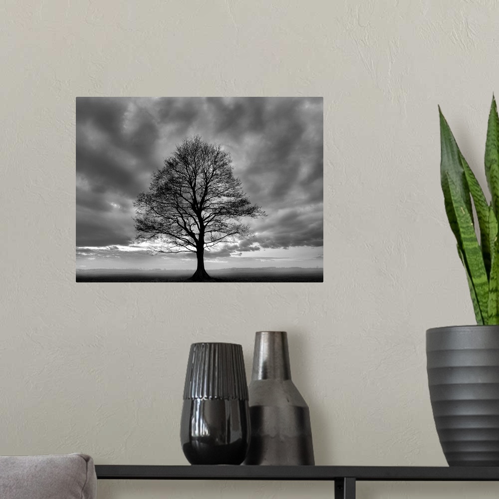 A modern room featuring A horizontal black and white photograph of a single tree in a field covered in mist with dramatic...