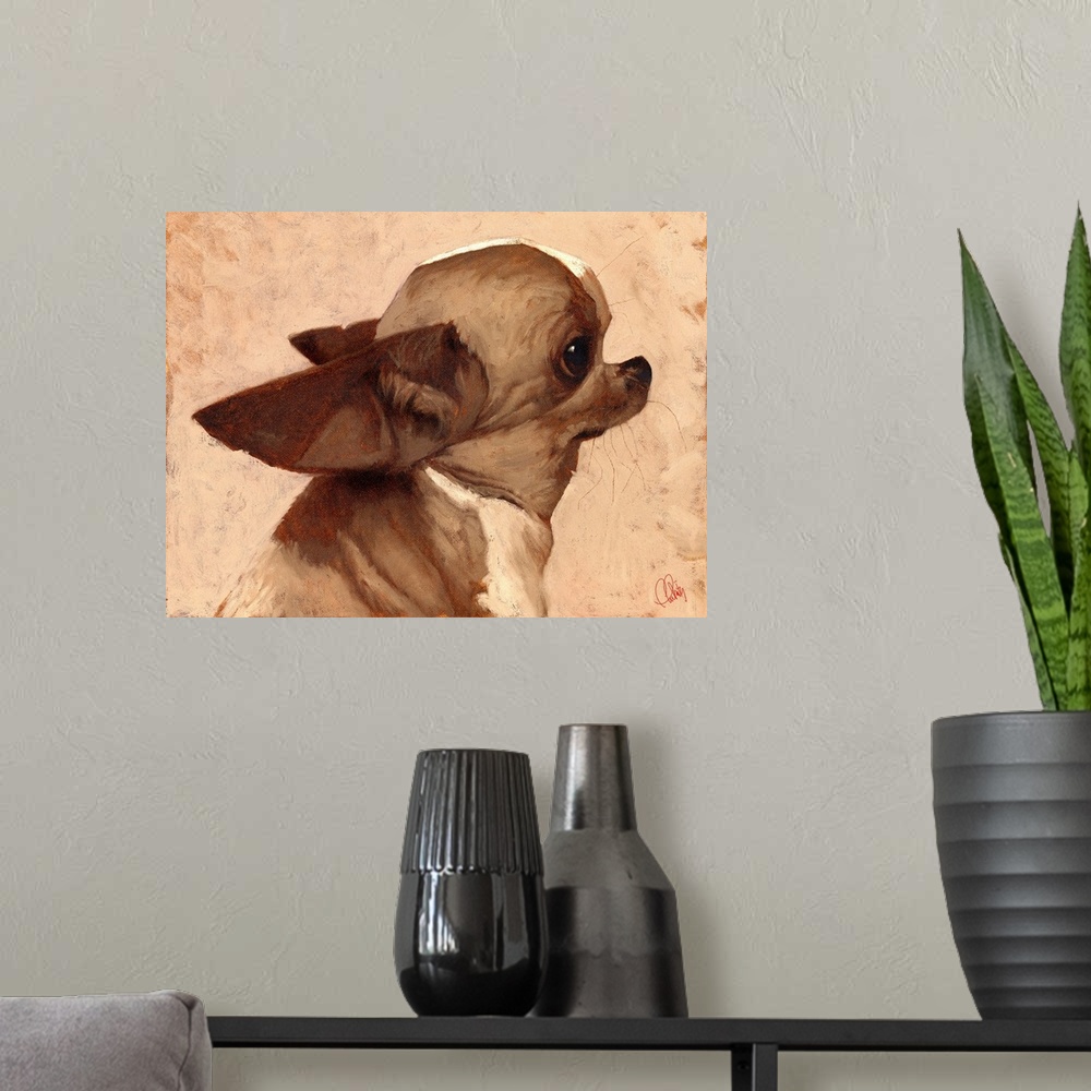 A modern room featuring Profile - Chihuahua