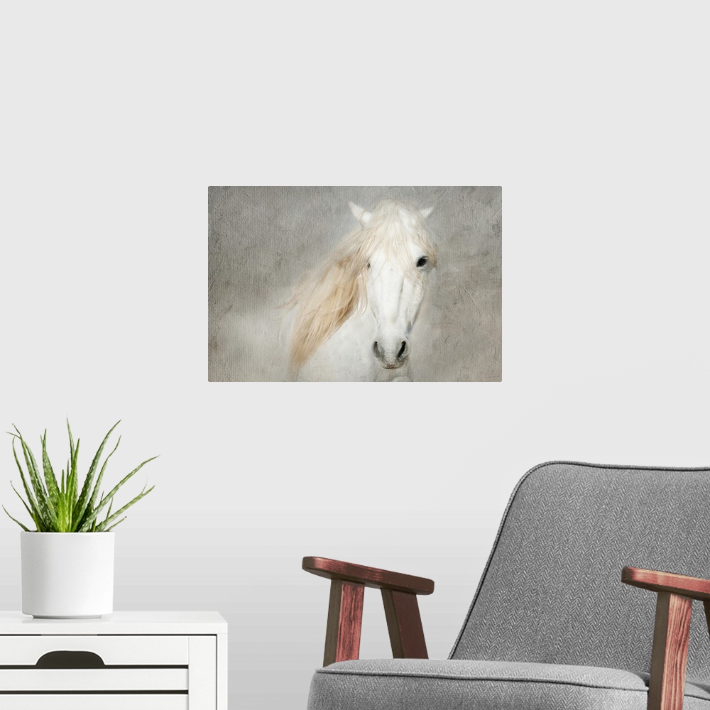A modern room featuring Stallion Face
