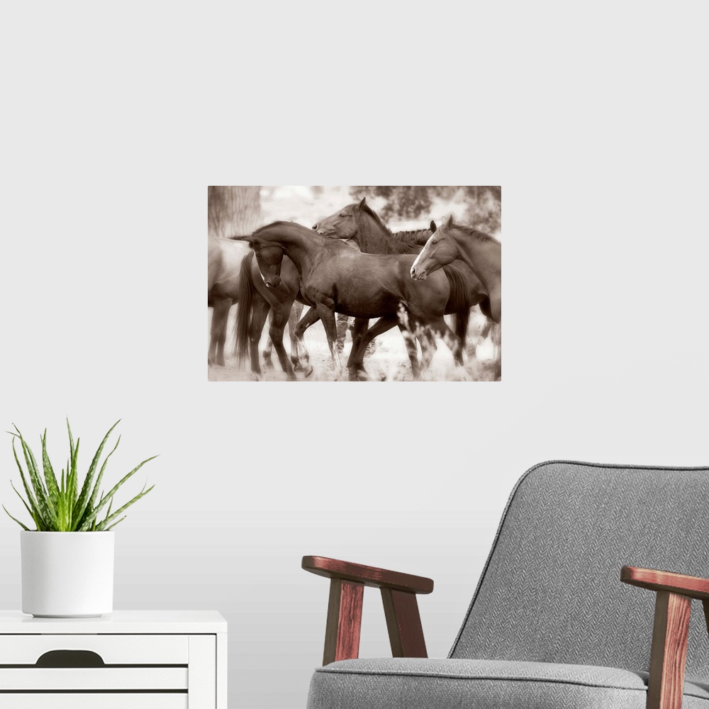 A modern room featuring The Herd
