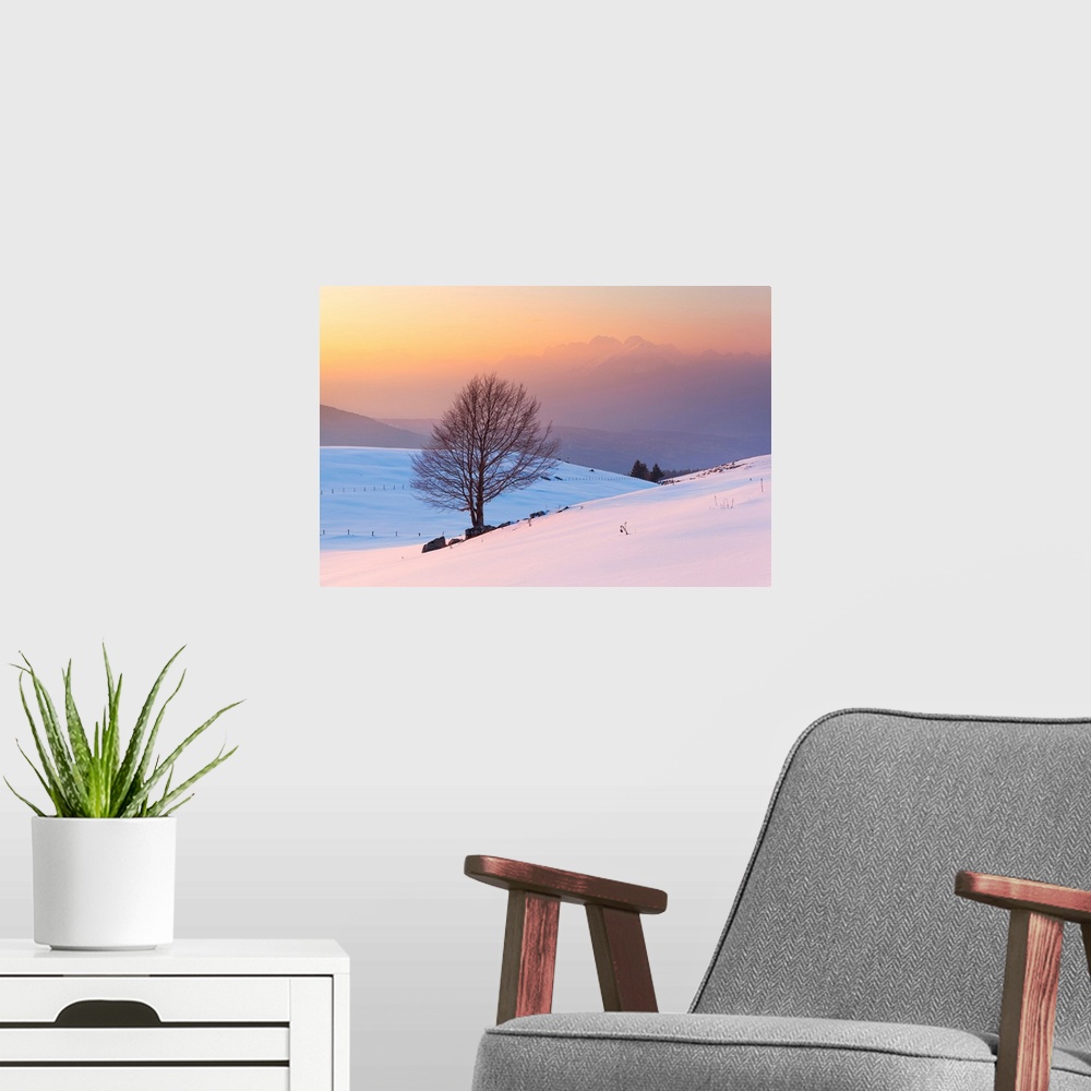 A modern room featuring A Lonely Beech On Snowy Pastures Of Mezzomiglio With Schiara Group On Background, Prealps Of Bell...