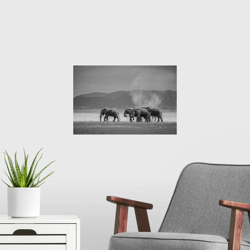 A modern room featuring Amboseli Park, Kenya, Africa A family of elephants in Amboseli Kenya.