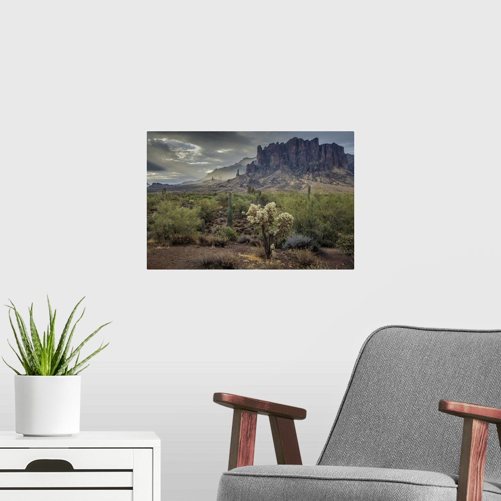 A modern room featuring USA, Arizona, Southwest, Maricopa County, Apache Junction, Lost Dutchman State Park, Superstition...