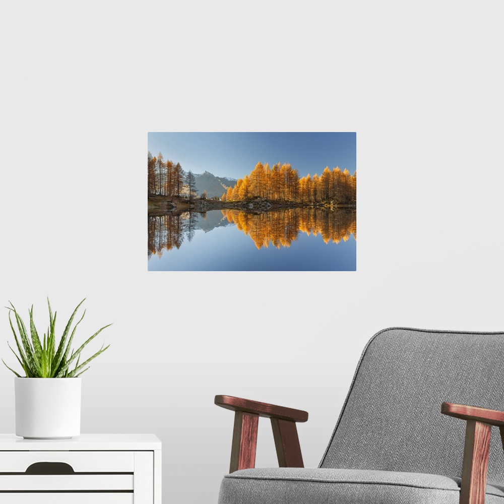 A modern room featuring Autumn larches reflected on Azzurro lake, Motta, Campodolcino, Sondrio province, Lombardy, Italy,...
