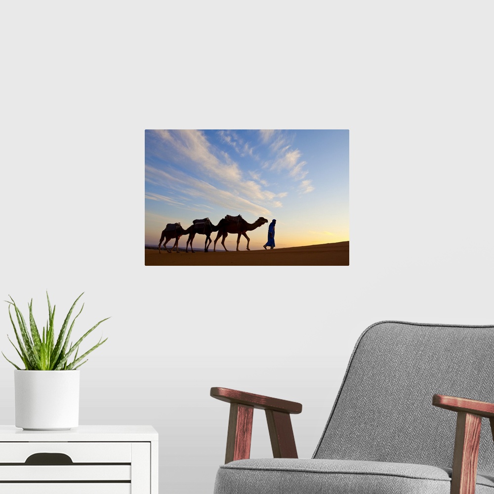 A modern room featuring Camel Driver, Sahara Desert, Merzouga, Morocco