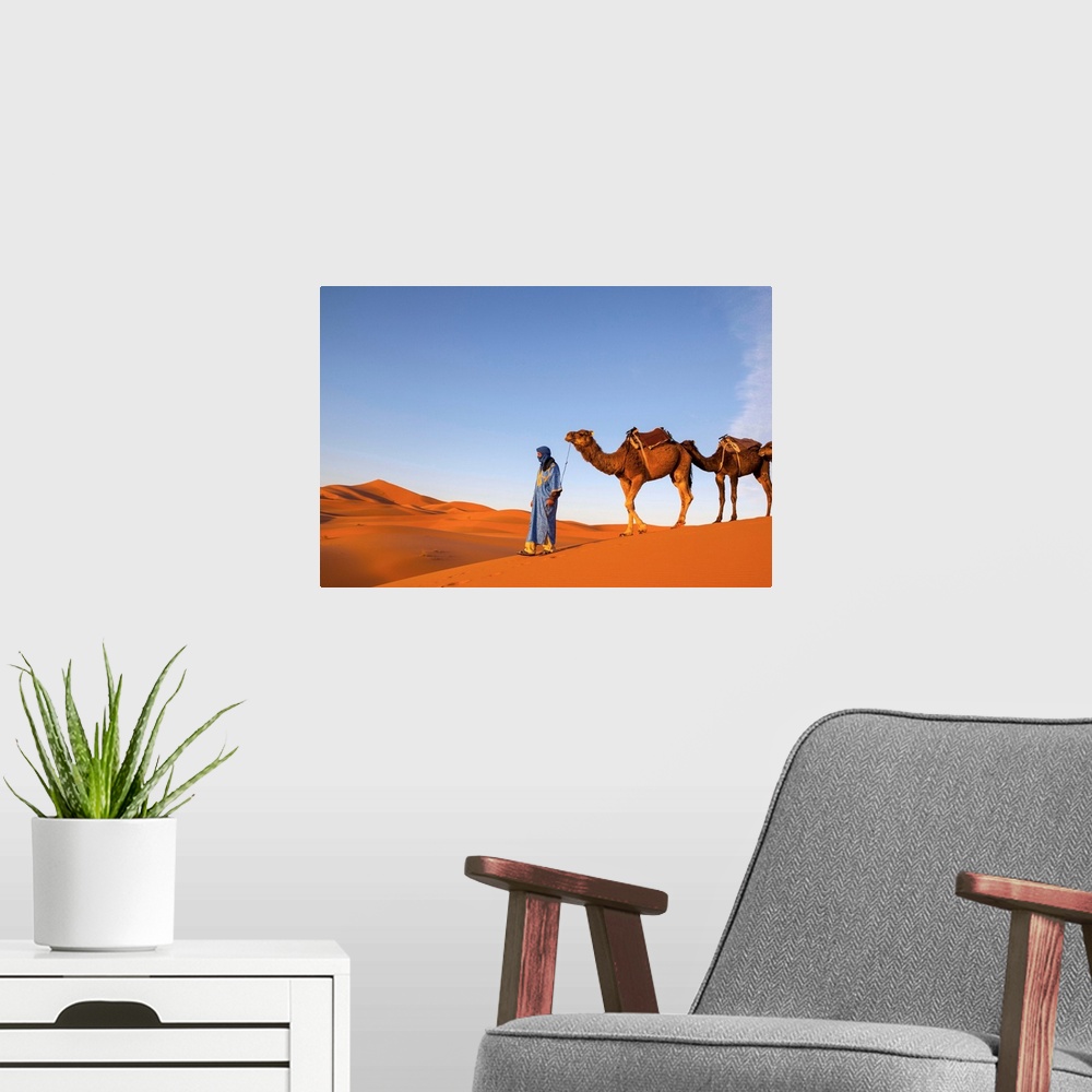 A modern room featuring Camel Driver, Sahara Desert, Merzouga, Morocco, (MR)