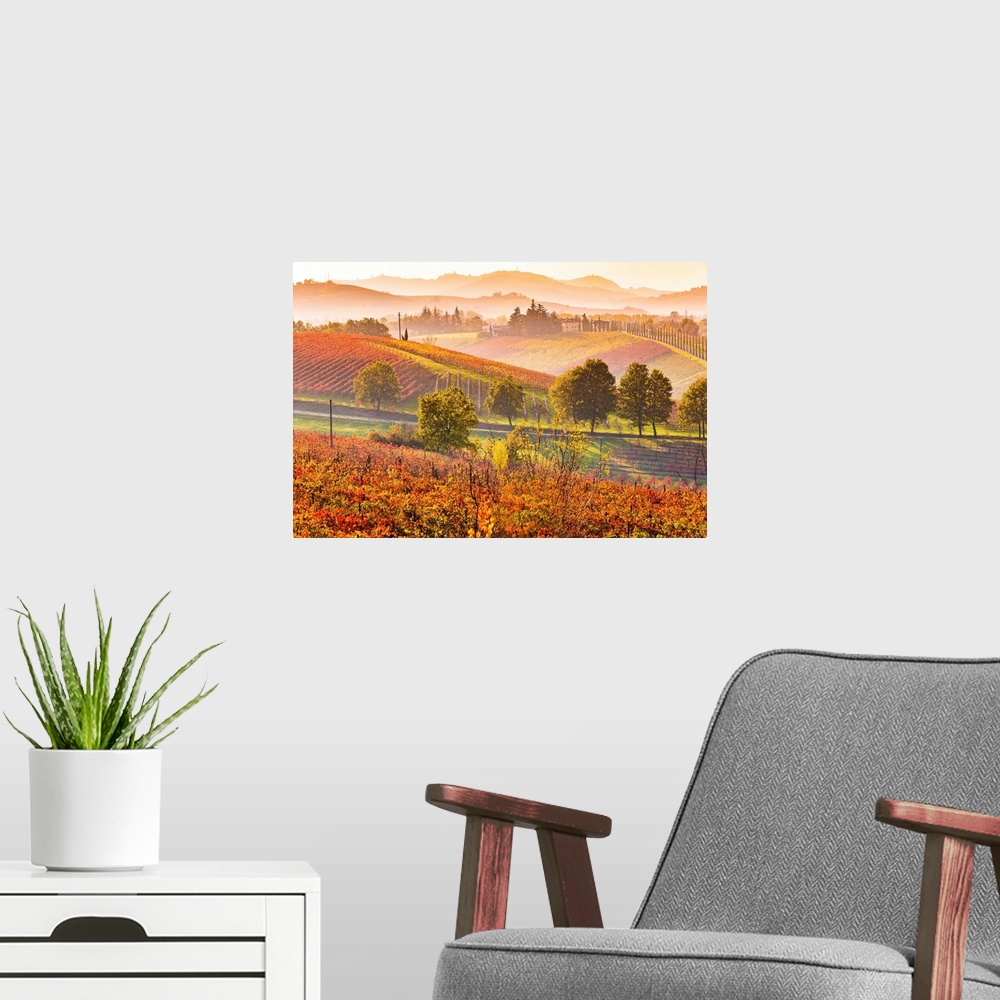 A modern room featuring Castelvetro, Modena, Emilia Romagna, Italy. Sunset over the Lambrusco Grasparossa vineyards and r...