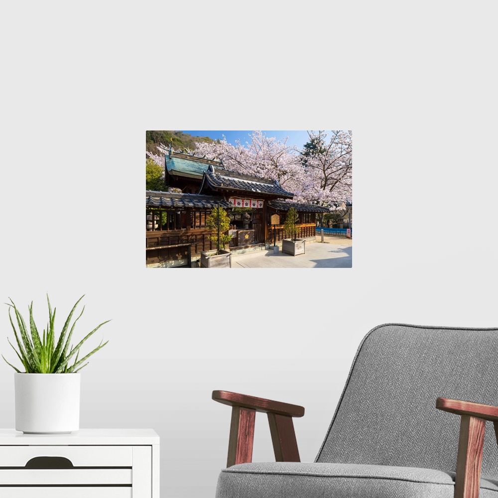 A modern room featuring Cherry Blossom At Kitano Tenman Shrine, Kobe, Kansai, Japan