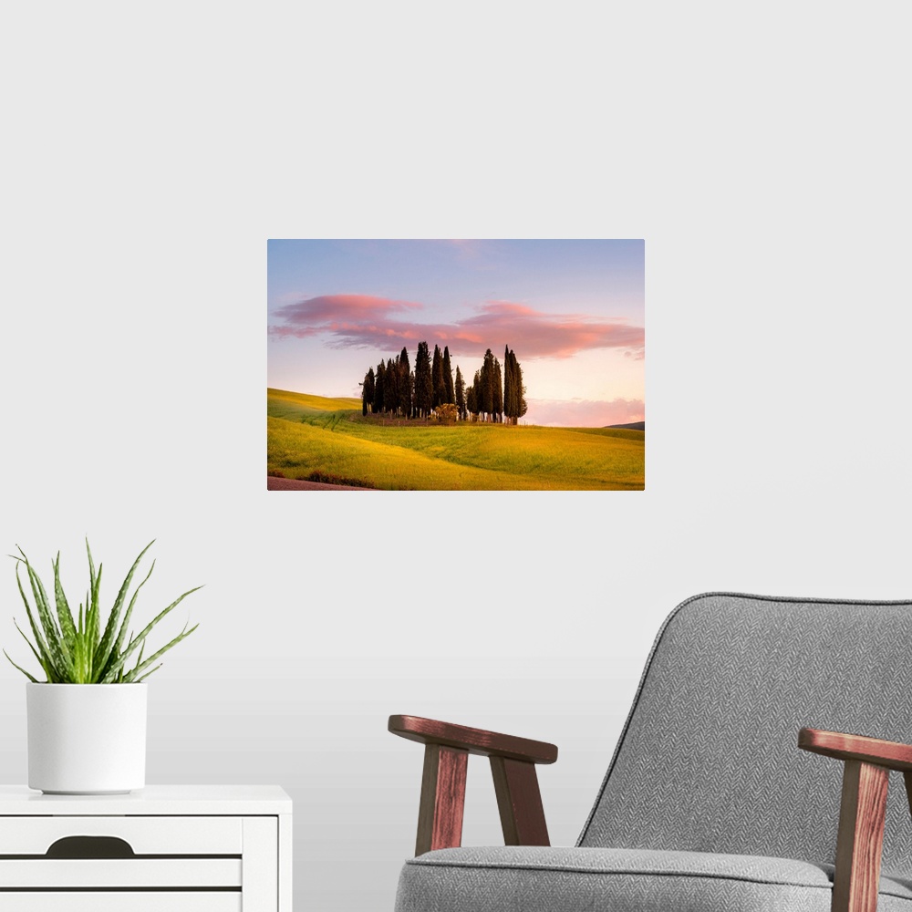 A modern room featuring Cypresses At Sunset In Orcia Valley. Siena District, Tuscany, Italy.