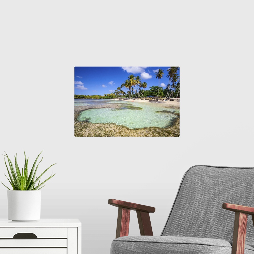 A modern room featuring Dominican Republic, Samana Peninsula, Las Galleras, La Playita beach