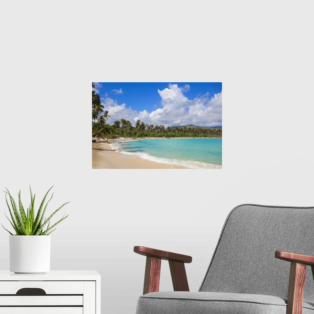 A modern room featuring Dominican Republic, Samana Peninsula, Playa Rincon