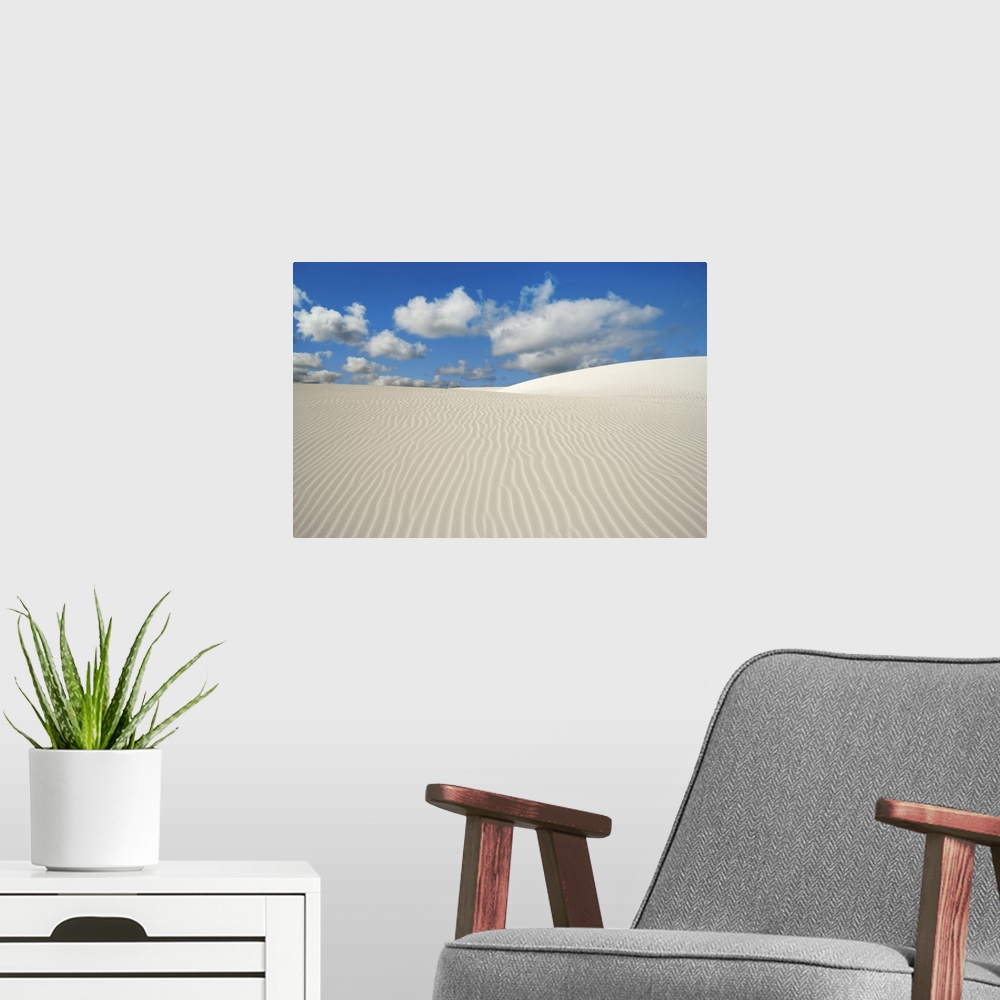 A modern room featuring Dune landscape near Cervantes. Australia, Western Australia, Midwest, Nambung National Park, Cerv...