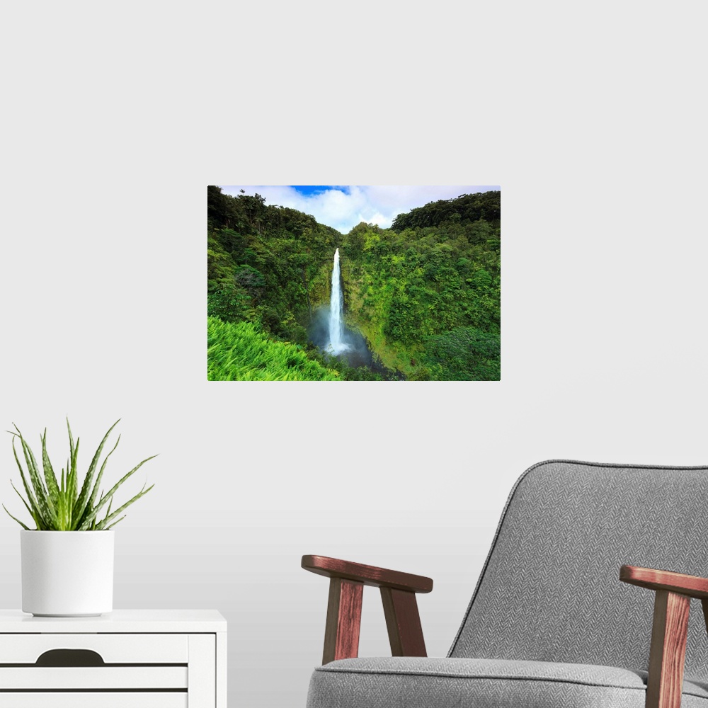 A modern room featuring USA, Hawaii, The Big Island, Akaka Falls State Park