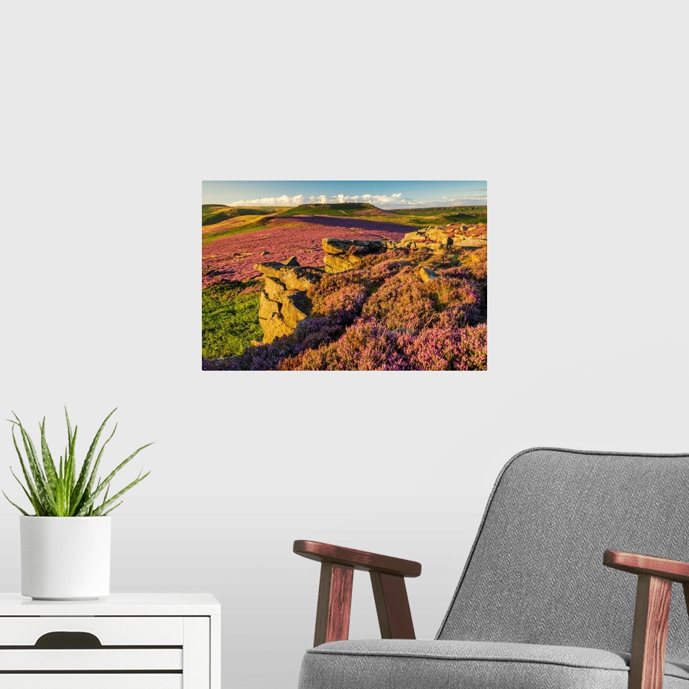 A modern room featuring Heather In Bloom On Owler Tor, Peak District National Park, Derbyshire, England