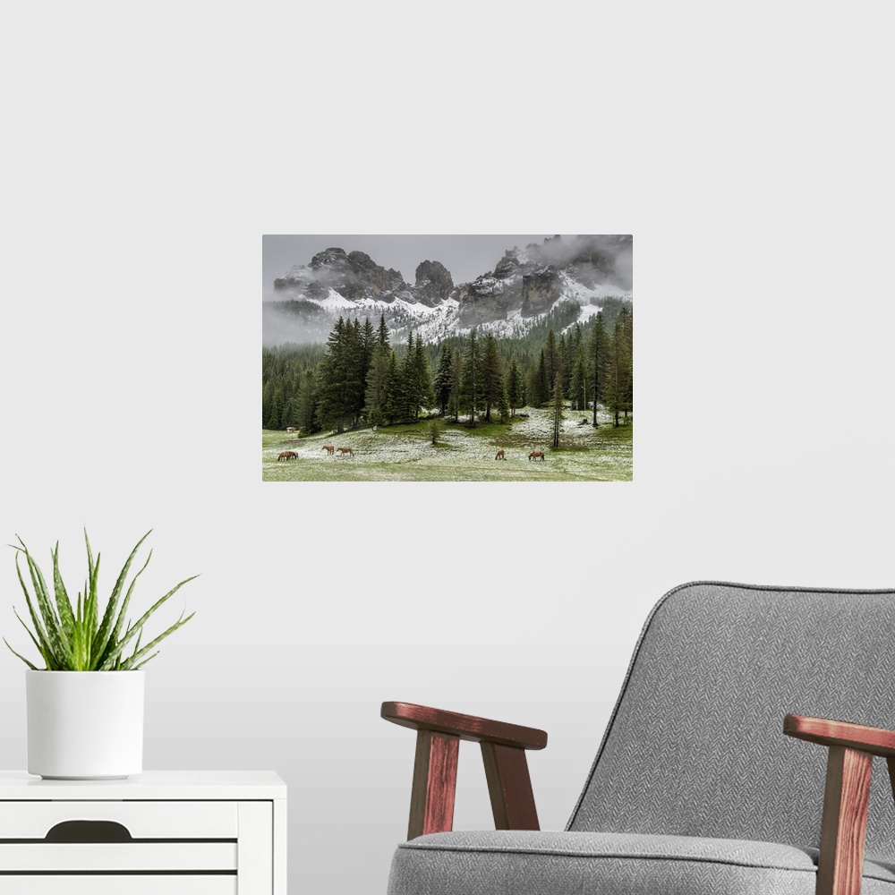A modern room featuring Horses grazing in the meadow blanketed in summer snow, Dolomites, Alto Adige or South Tyrol, Italy