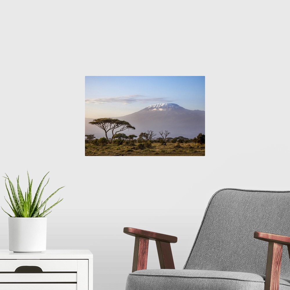 A modern room featuring Mount Kilimanjaro, Amboseli National Park, Kenya