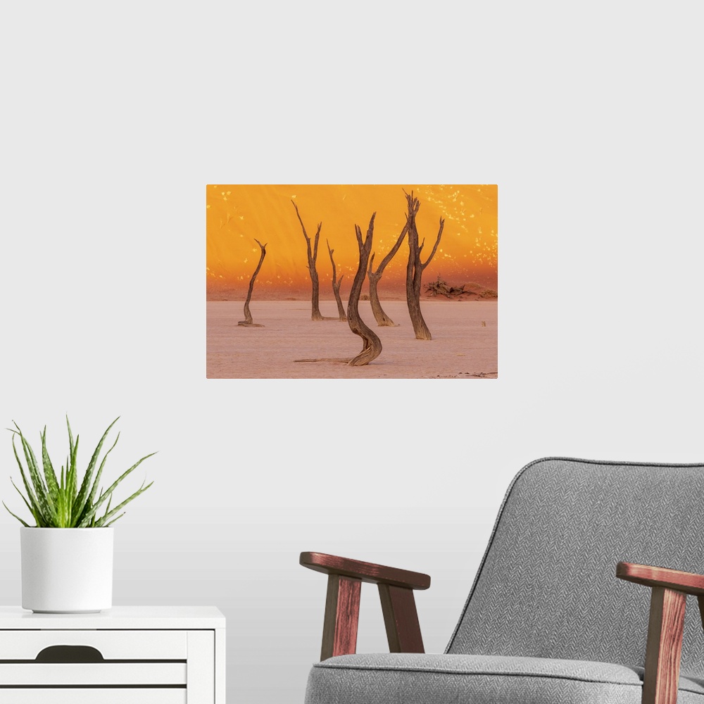 A modern room featuring Namibia, Namib Naukluft National Park, Sossussvlei, Deadvlei Clay Pan