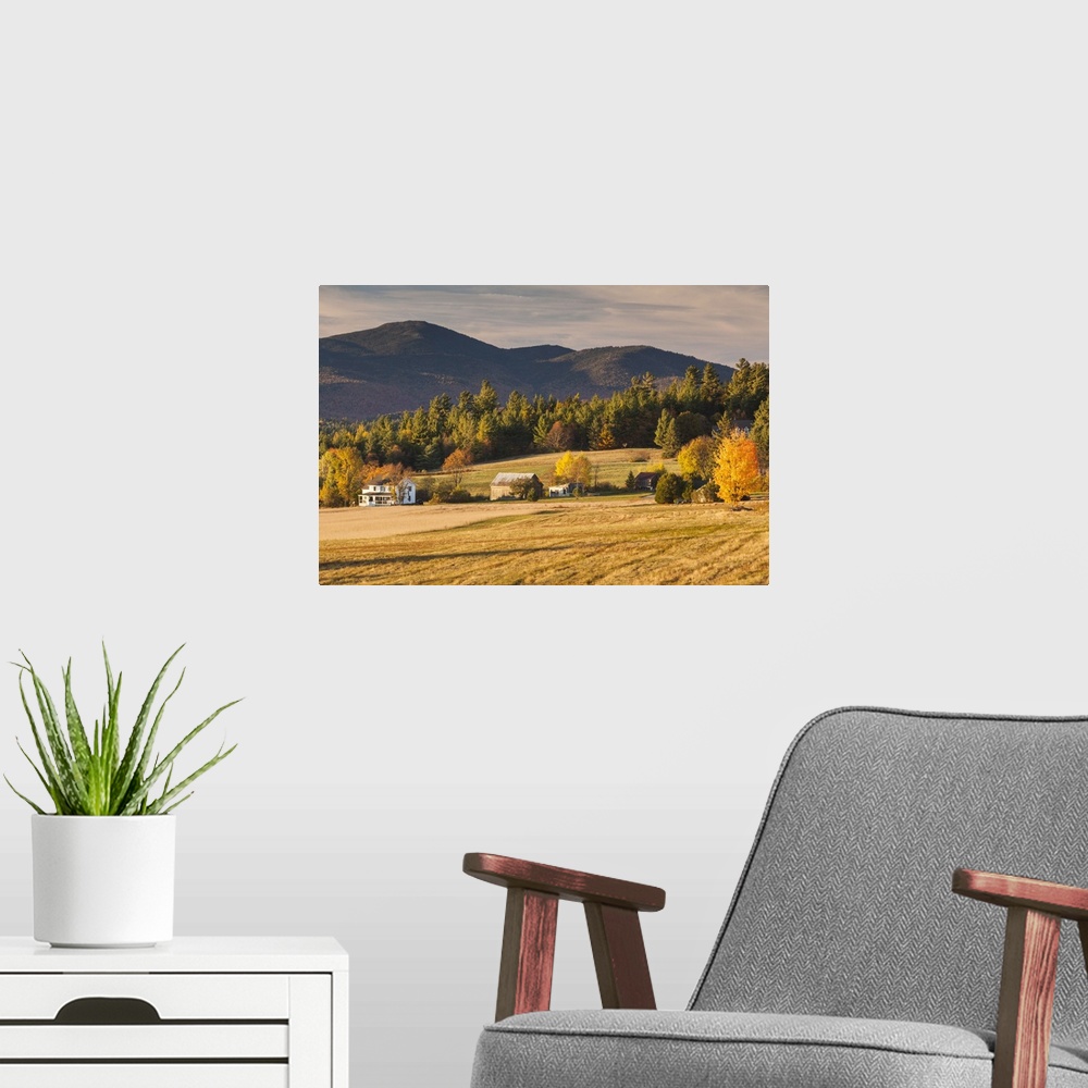 A modern room featuring USA, New York, Adirondack Mountains, Lake Placid, field at sunset, autumn