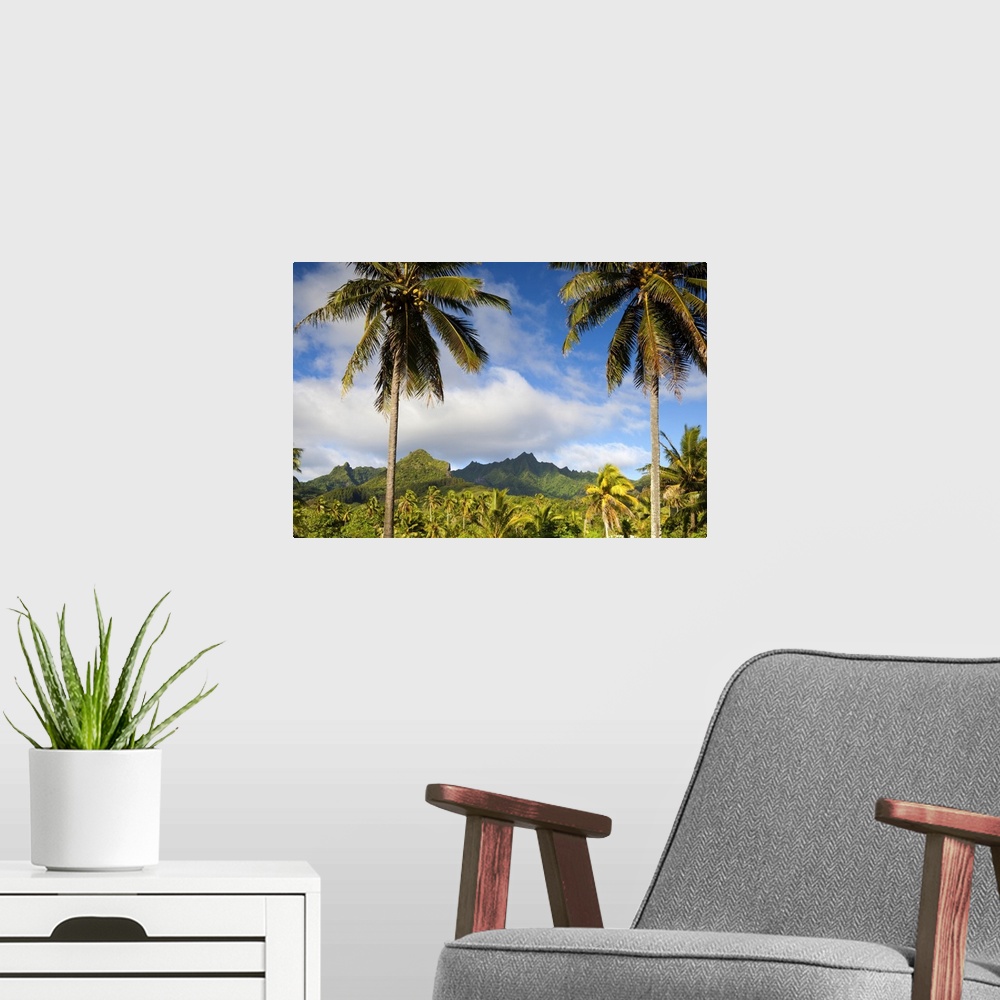 A modern room featuring Rarotonga, Cook Islands, South Pacific