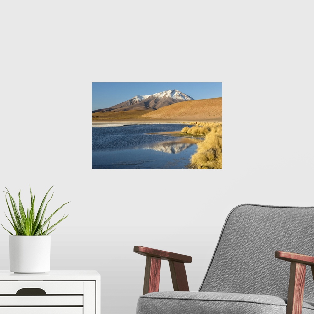 A modern room featuring South America, Andes, Altiplano, Bolivia, Laguna Hedionda with Ollague Volcano in the background