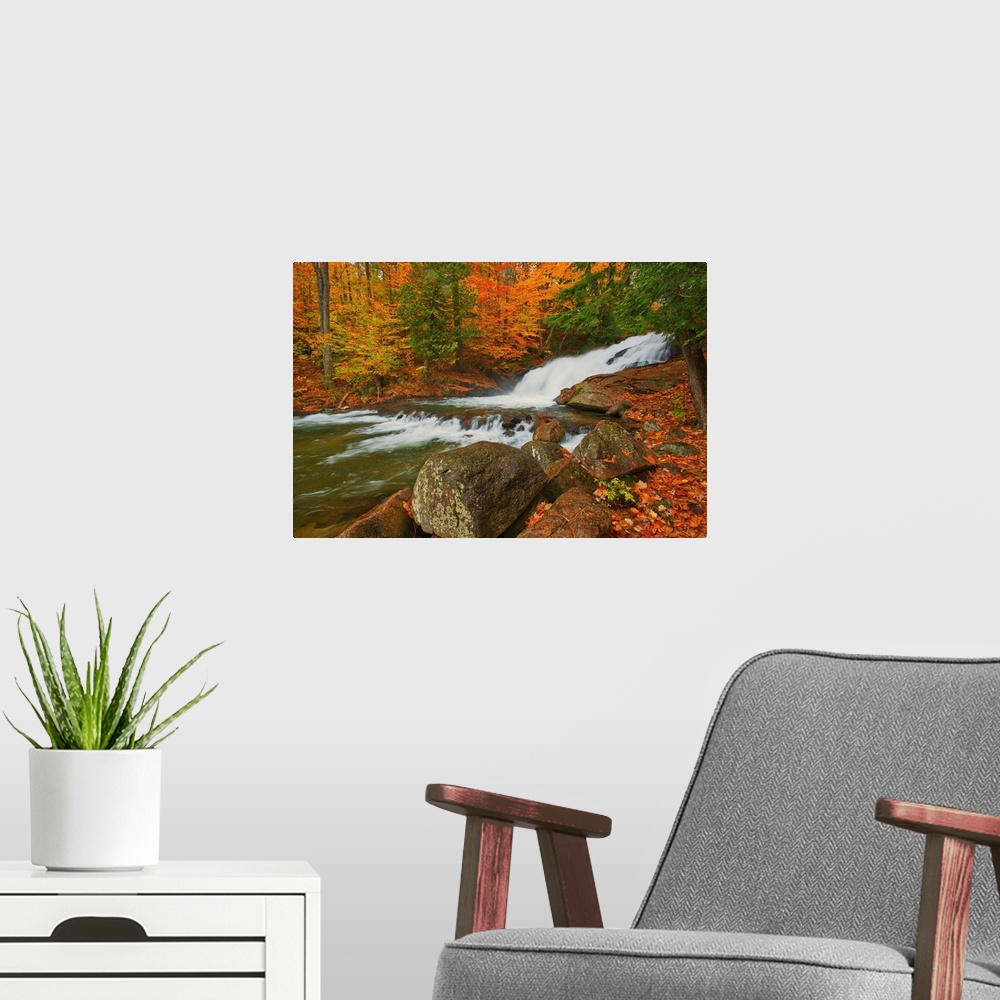 A modern room featuring The Skeleton River At Hatchery Falls In Autumn, Rosseau, Ontario, Canada