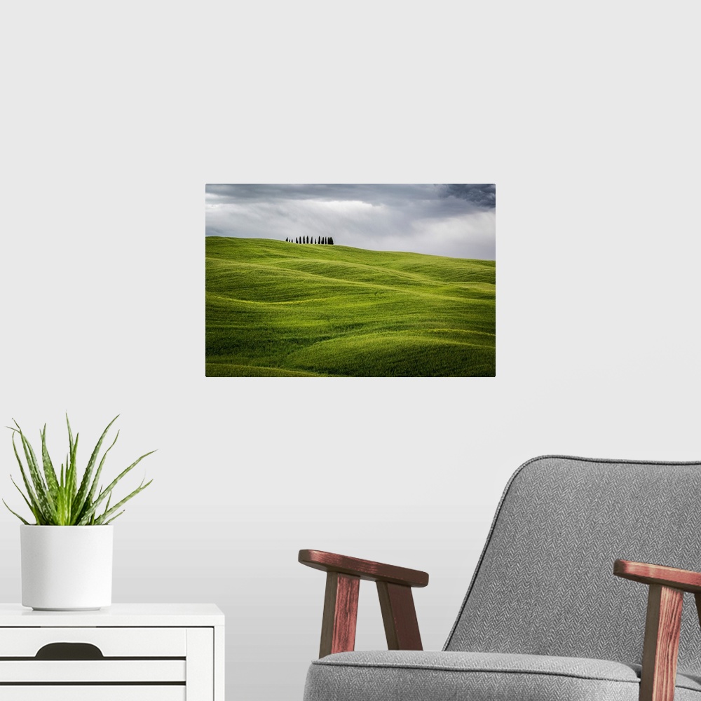 A modern room featuring Tuscany, Val d'Orcia, Italy. Cypress trees in green meadow field with clouds gathering.