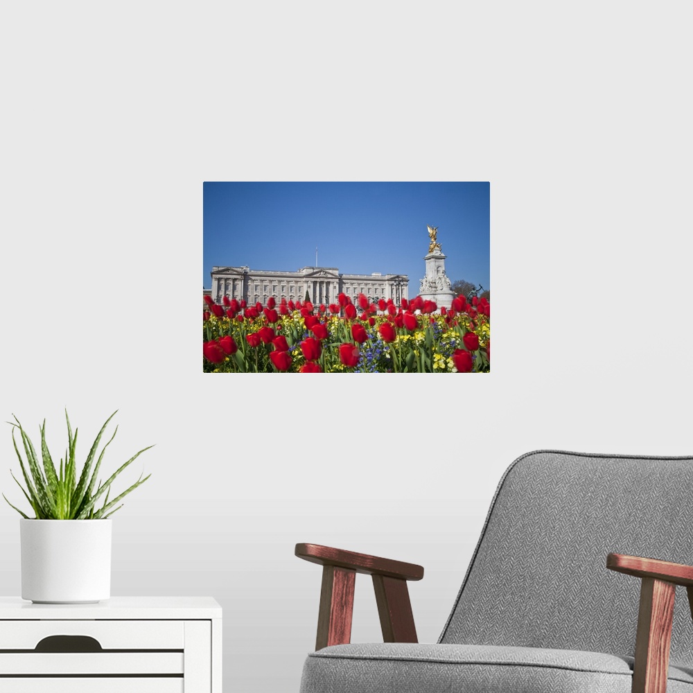 A modern room featuring United Kingdom, London, Westminster, Tulips infront of Buckingham Palace and Victoria Memorial