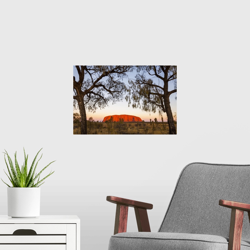A modern room featuring Uluru and Desert Oak at twilight. Uluru-Kata Tjuta National Park, Central Australia, Northern Ter...
