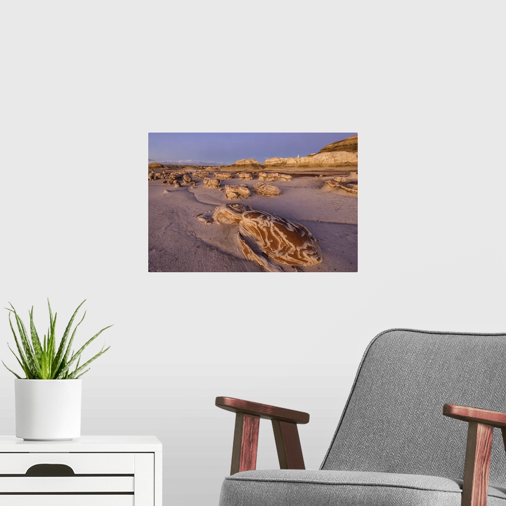 A modern room featuring USA, New Mexico, Bisti Wilderness area, Bisti badlands, Cracked Eggs.