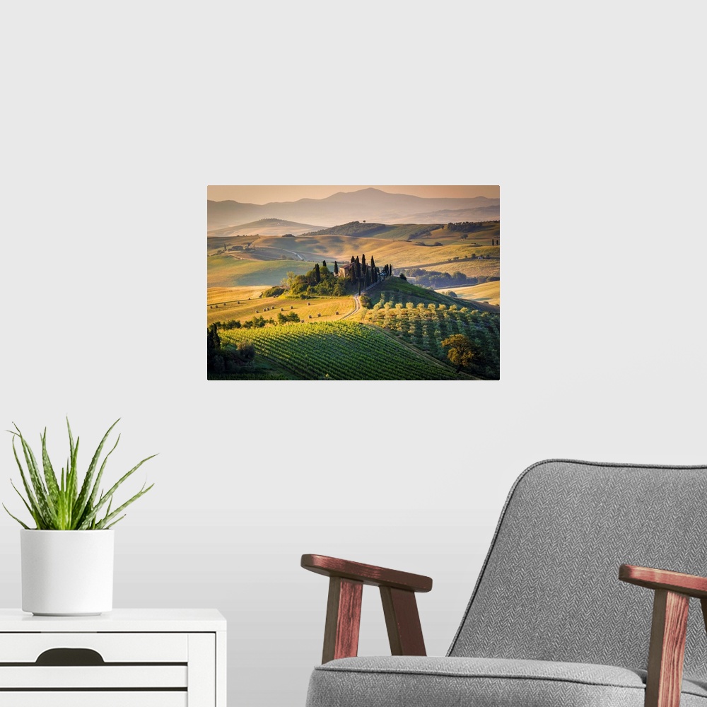 A modern room featuring Val d'Orcia, Tuscany, Italy. A lonely farmhouse with cypress and olive trees, rolling hills.