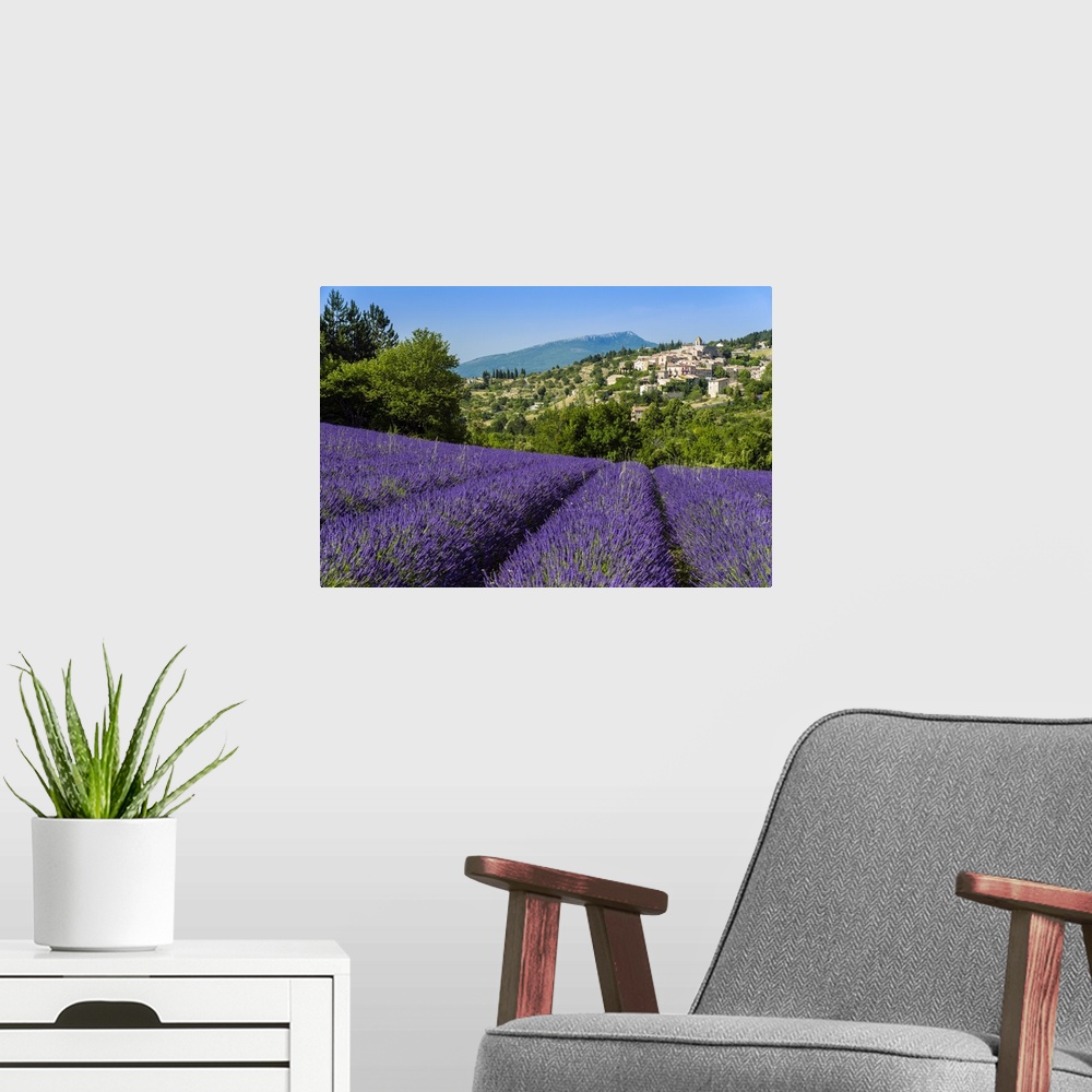 A modern room featuring View of village of Aurel with field of lavander in bloom, Provence, France.