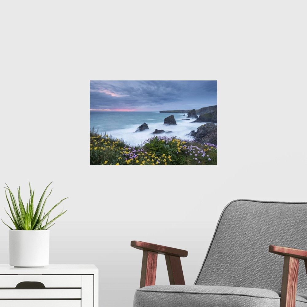 A modern room featuring Wildflowers growing on the clifftops above Bedruthan Steps on a stormy evening, Cornwall, England...